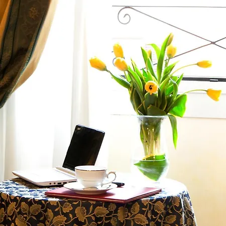 索尼亚酒店 酒店